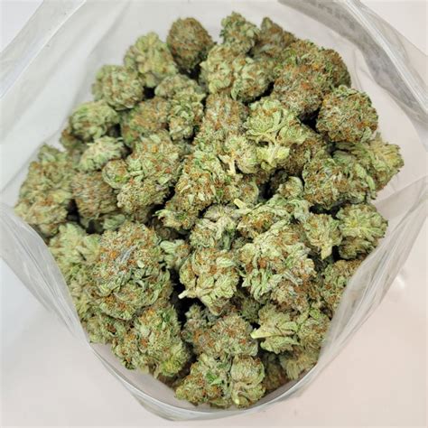 gucci pink strain allbud|gucci pink weed pack.